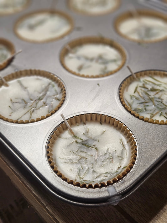 Botanical Wax Firestarters