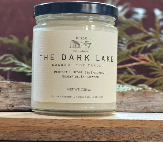 Dark Lake: Why We Keep Coming Back to Quiet Places