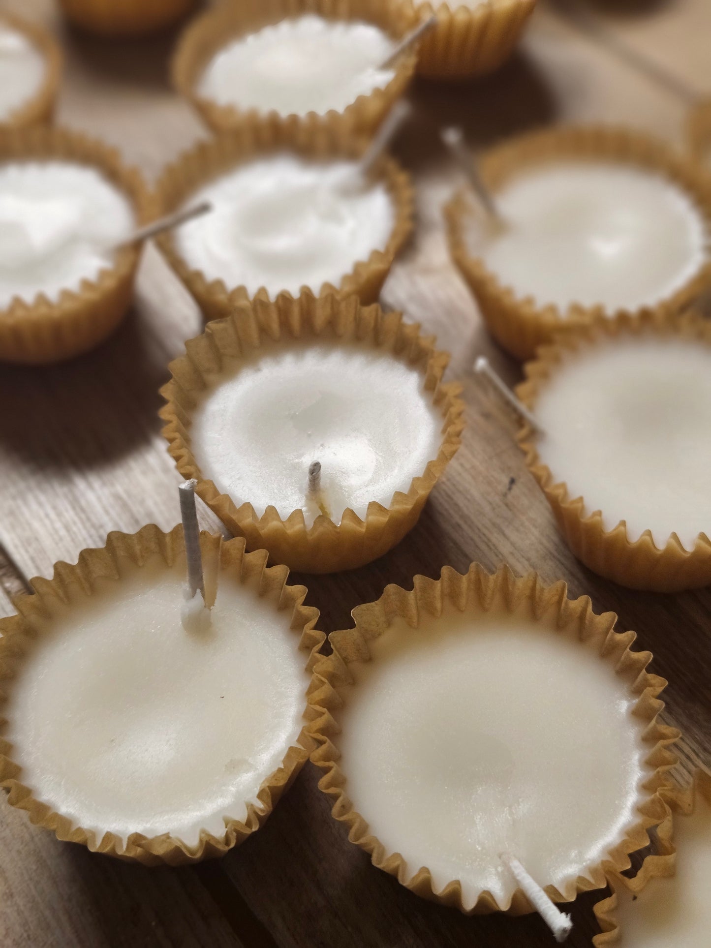 Botanical Wax Firestarters
