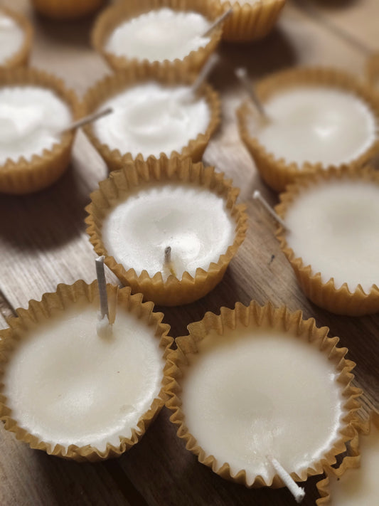 Botanical Wax Firestarters